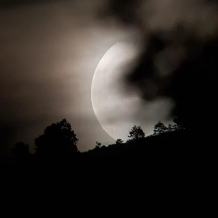 Loboratorio Rural, La Casa De Al Lado