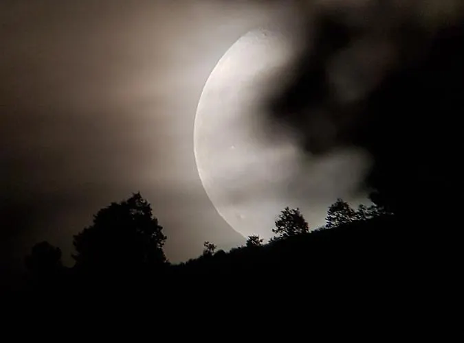 Loboratorio Rural, La Casa De Al Lado