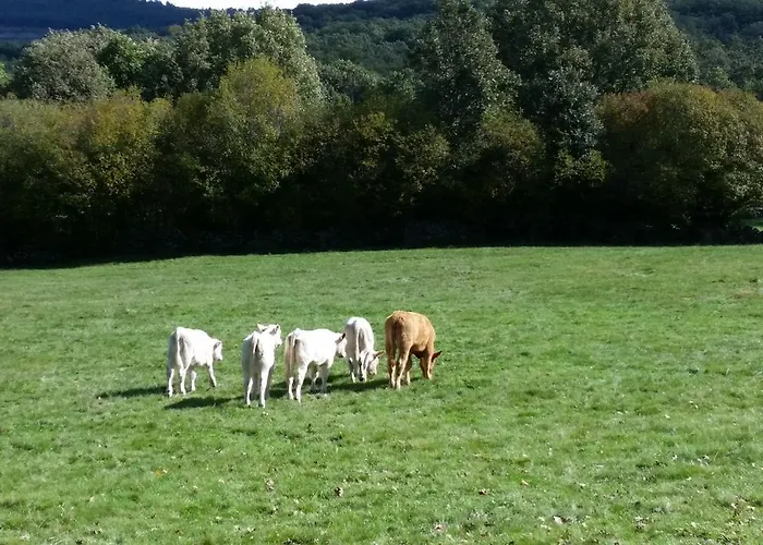 Loboratorio Rural, La Casa De Al Lado * Casas del Abad